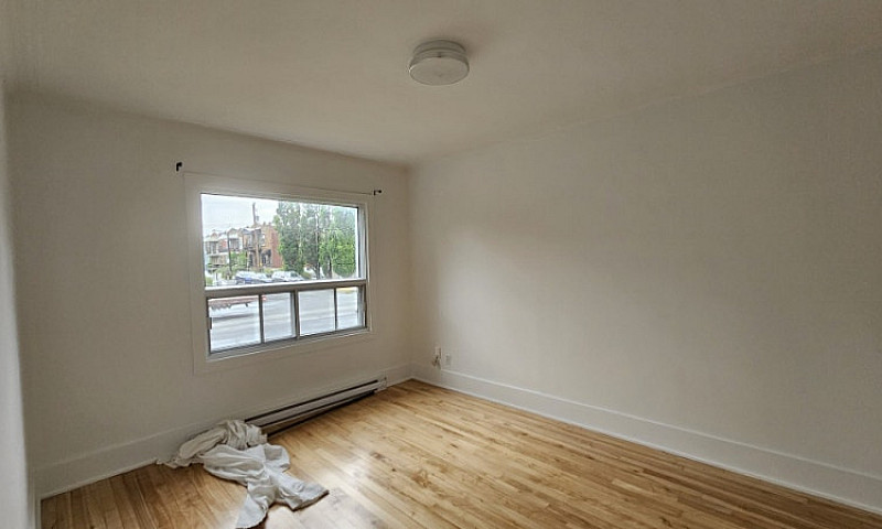 Appartement 4 1/2 + ...