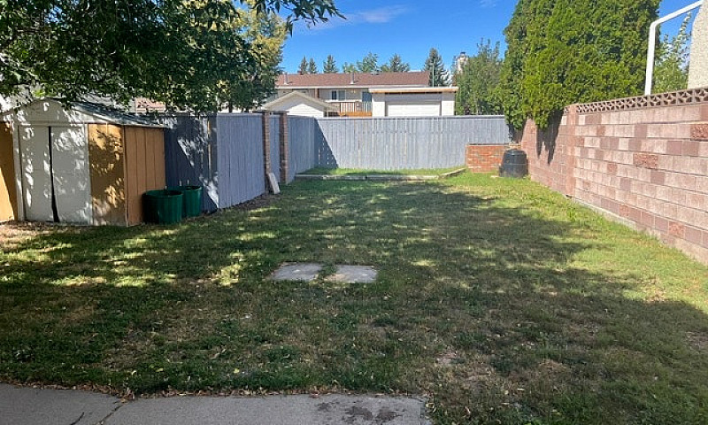 Half Duplex With Ren...