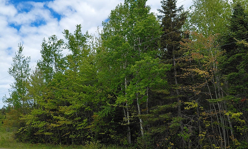 Land For Sale  Of +/...