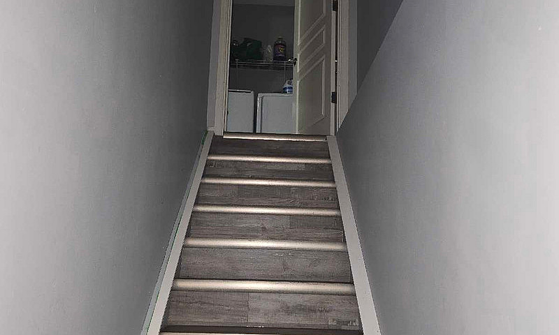 One Bedroom Basement...