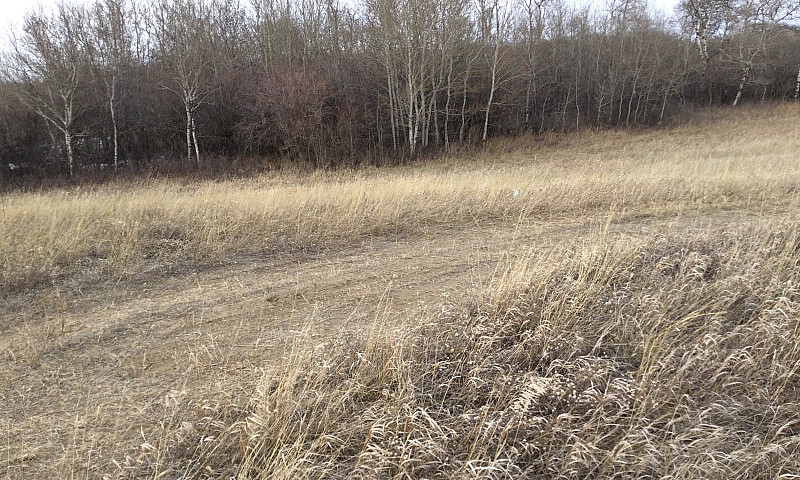 Acreage Land For Sal...