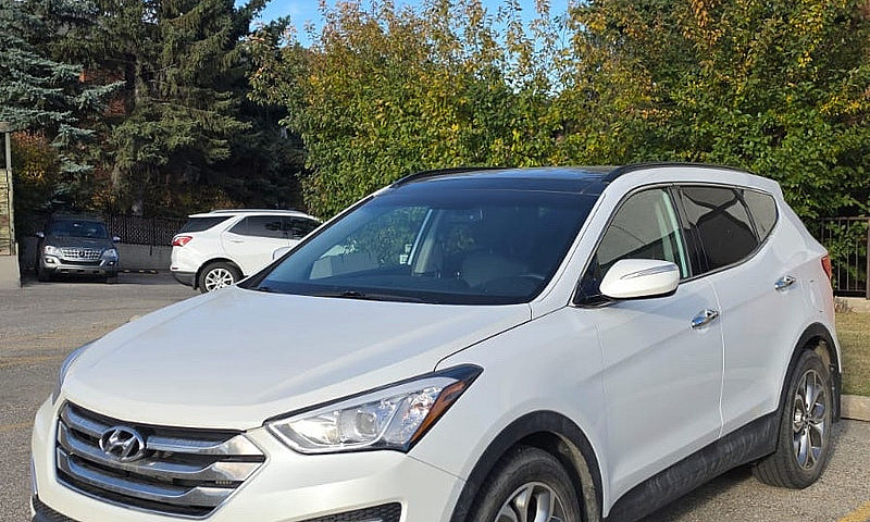 2014 Hyundai Santa F...