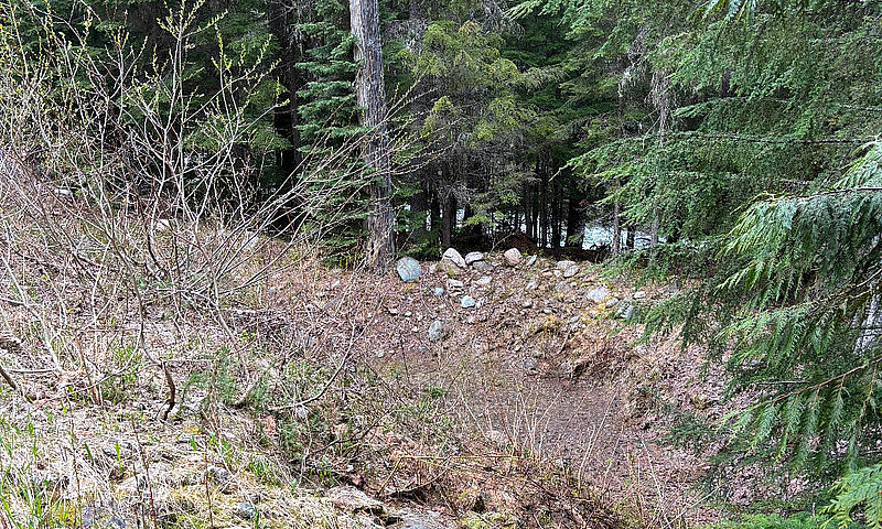 Quartz Creek Placer ...