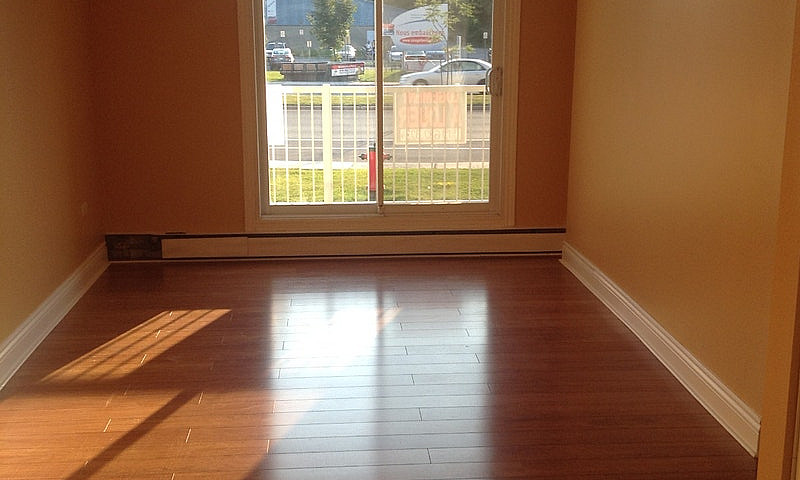 Spacious Apartment F...