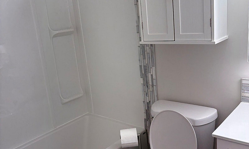Furnished One Bedroo...