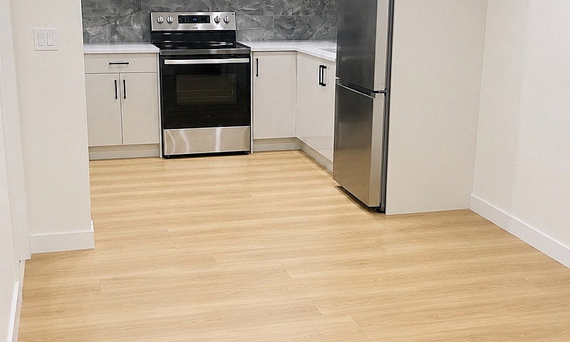 2 Bed 1 Bath Basemen...