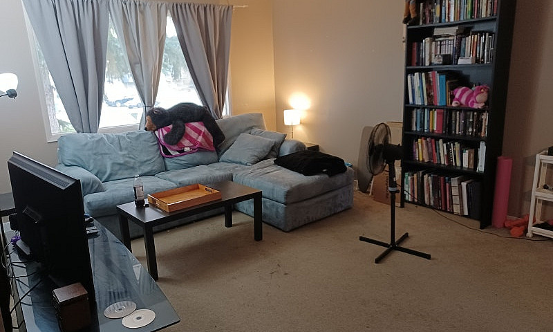 Mainfloor 2 Bdrm Sui...