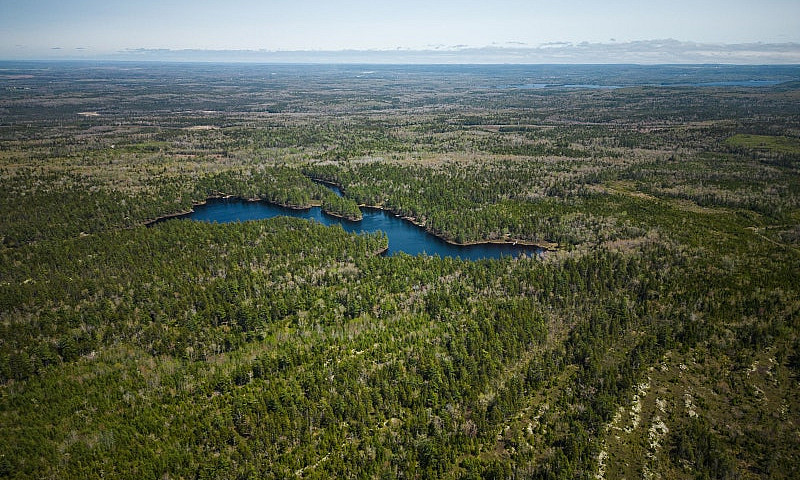 43 Acres Of Land For...
