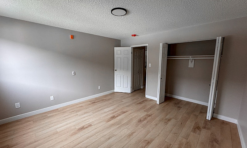 Newly Renovated Bach...