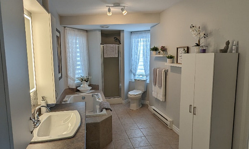Condo A Vendre Face ...