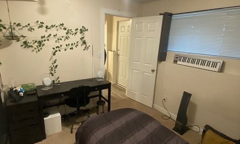 Lower Suite For Rent...