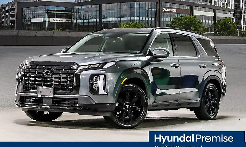 2025 Hyundai Palisad...