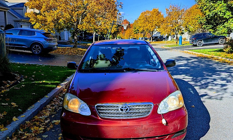 Toyota Corolla Le 20...