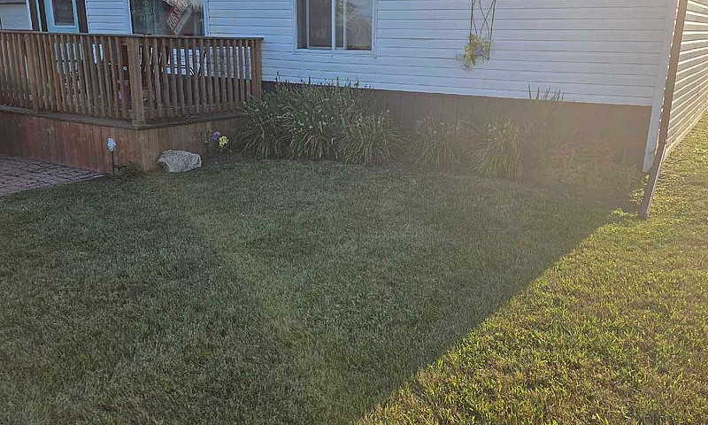 House For Sale Foam ...