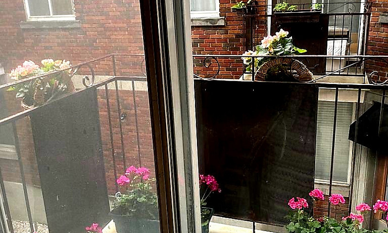 Condo Westmount Disp...