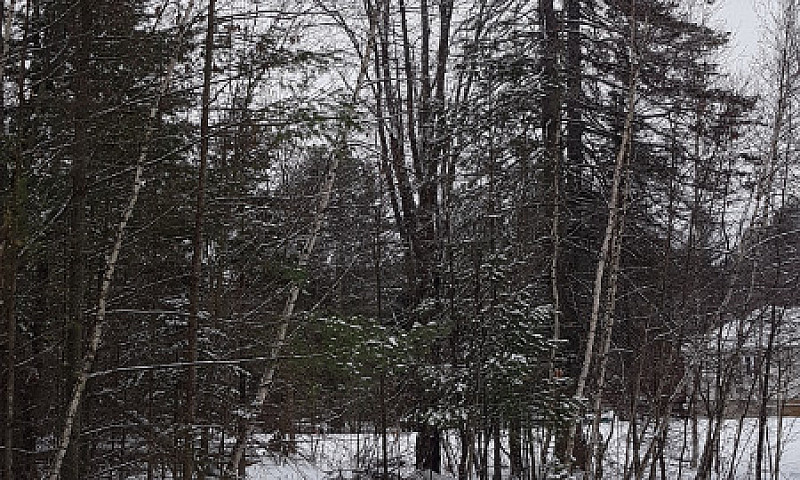 Terrain A Vendre St-...