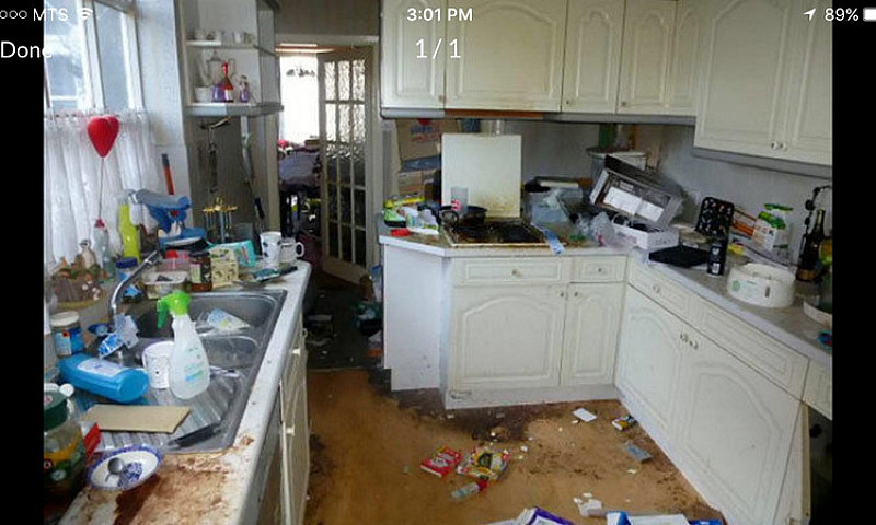Tenants Trashed Your...