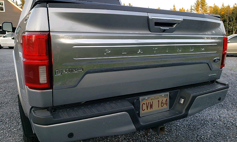 2020 F150 Platinum 4...