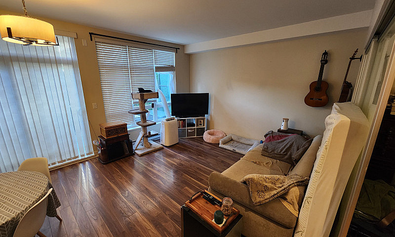 Cozy, New, Clean And...