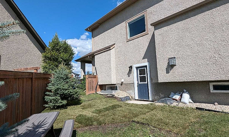 2 Br Furnished Basem...