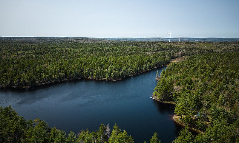 43 Acres Of Land For...