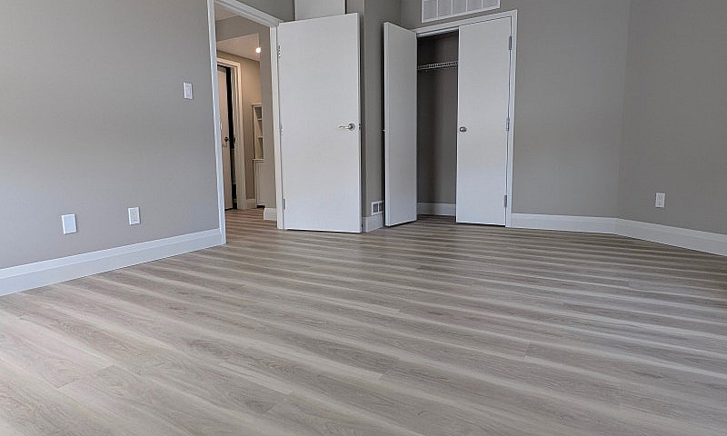 1 Bedroom Apartment ...