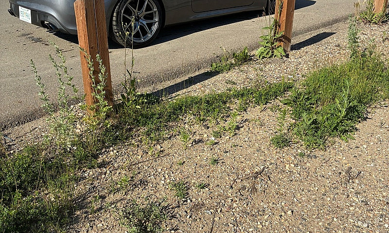  2010 Hyundai Genesi...