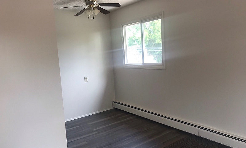1 Bedroom Apartment ...