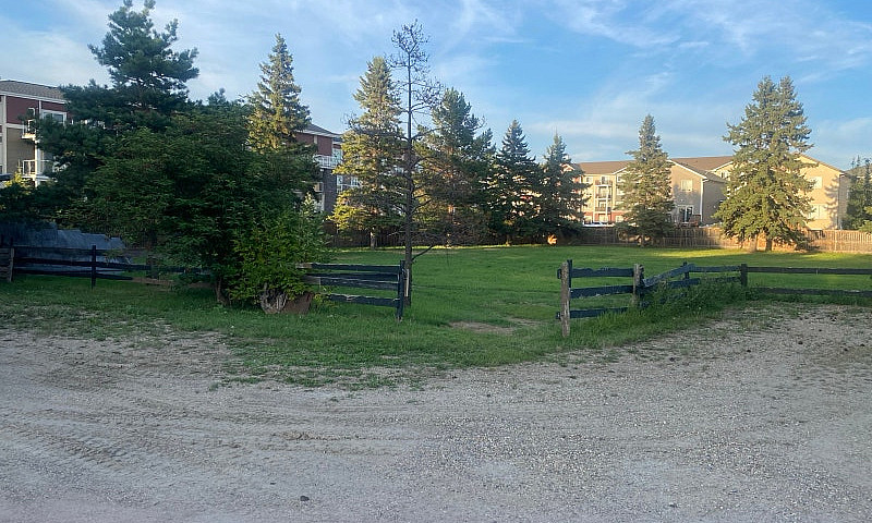 Fence Boards & Posts...