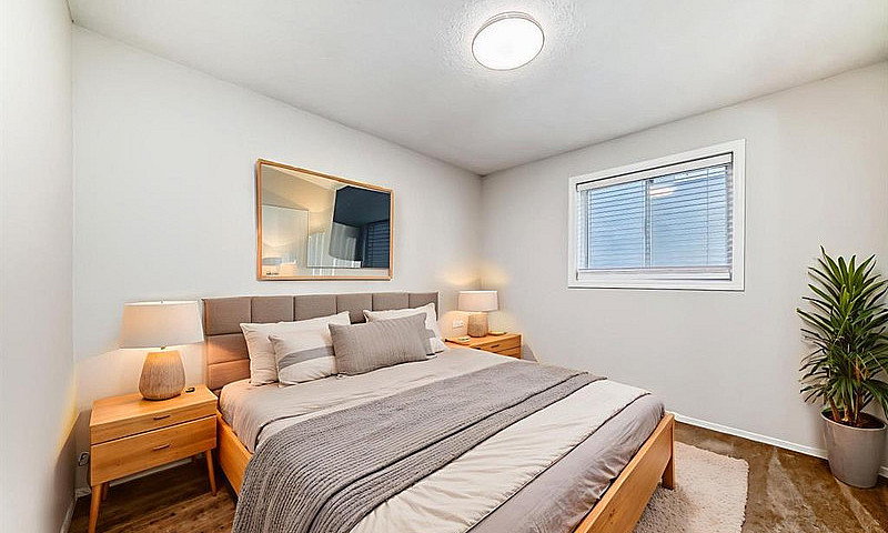 Amazing Apartment Wi...