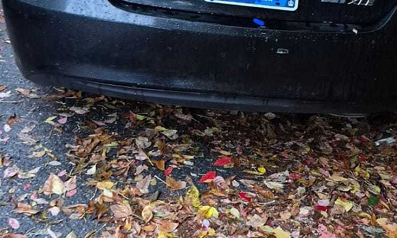 Toyota Camry 2015 Xl...