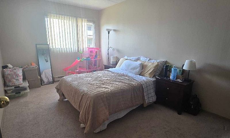  1 Bedroom Apartment...