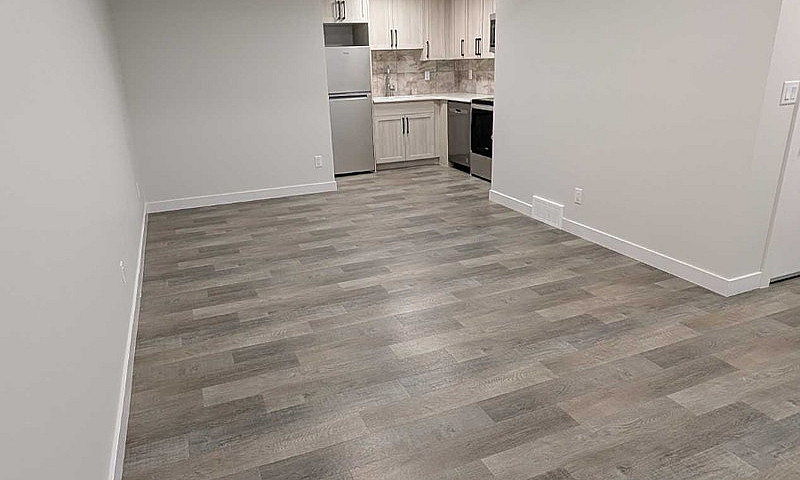 2Bd Legal Basement S...