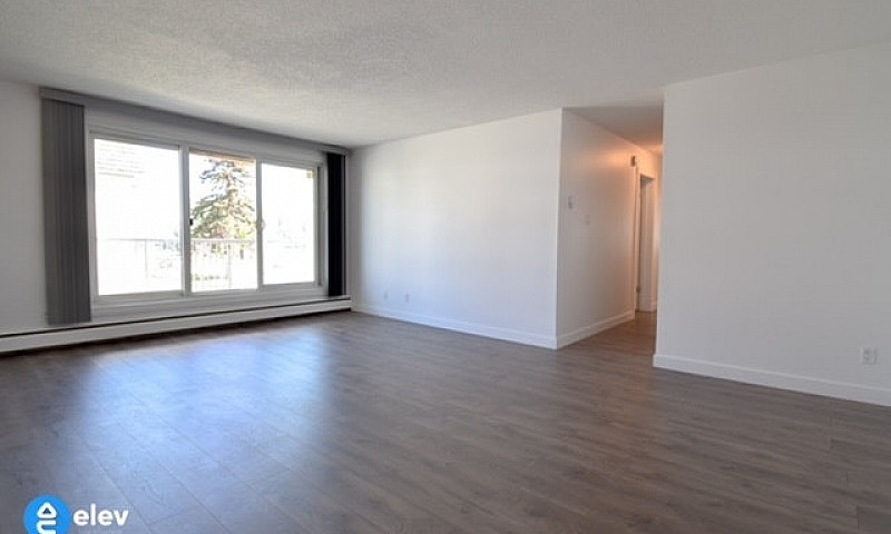 Large 2 Bdrm & Den I...