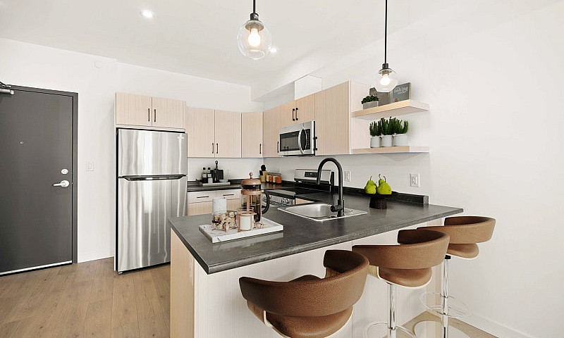 Luxury 2 Bedroom Apa...
