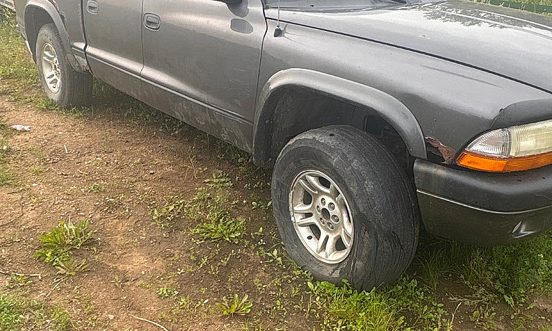 2004 Dodge Dakota Qu...