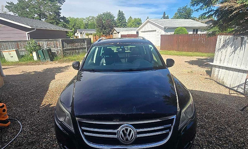 2010 Volkswagen Tigu...