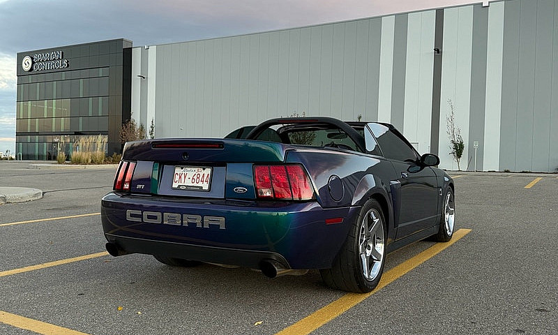 2004 Ford Mustang Co...