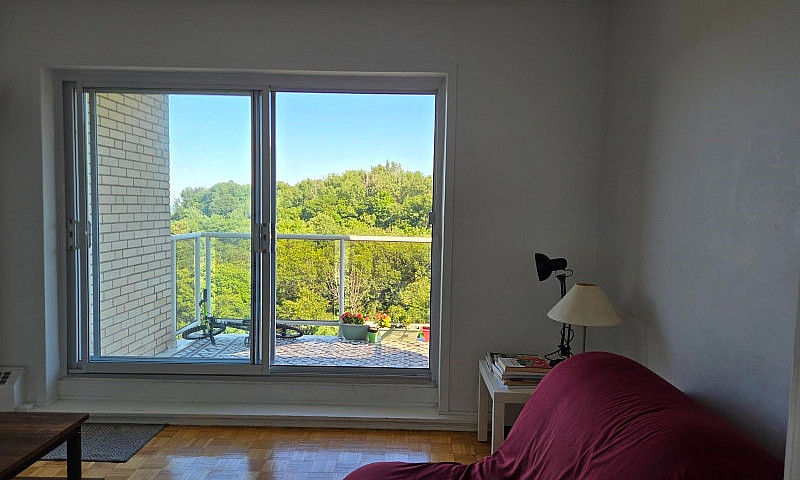 Grand 3 ½ Meublé – 1...
