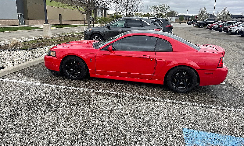 03.  Svt Mustang Cob...