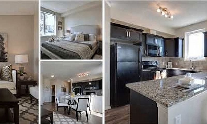 Moving To Calgary? N...