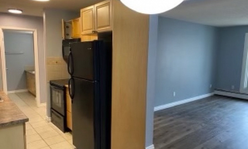 1 Bed 1 Bath Apartme...