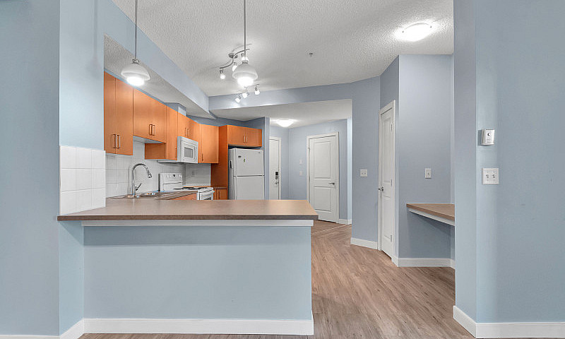 1 Bed, 1 Bath Condo ...