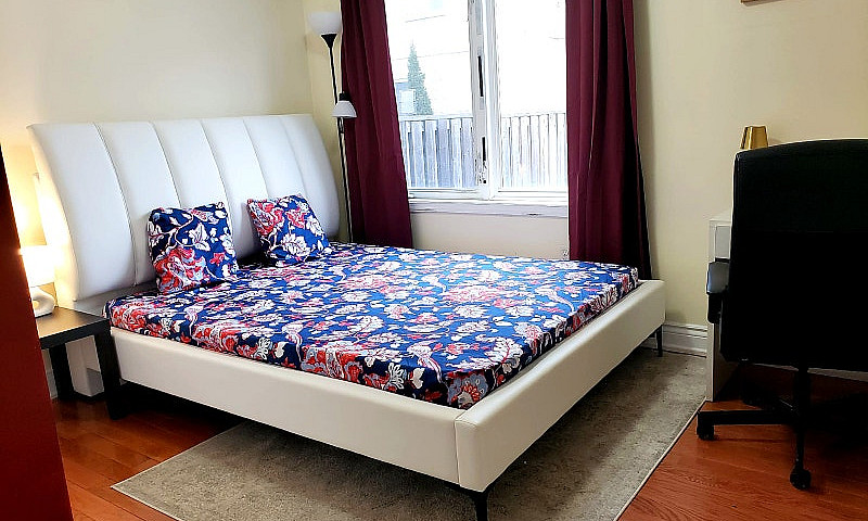 1 Bdrm Apt- 1530 All...