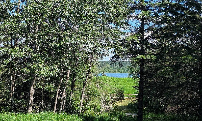 Lake Lot At Fork Lak...