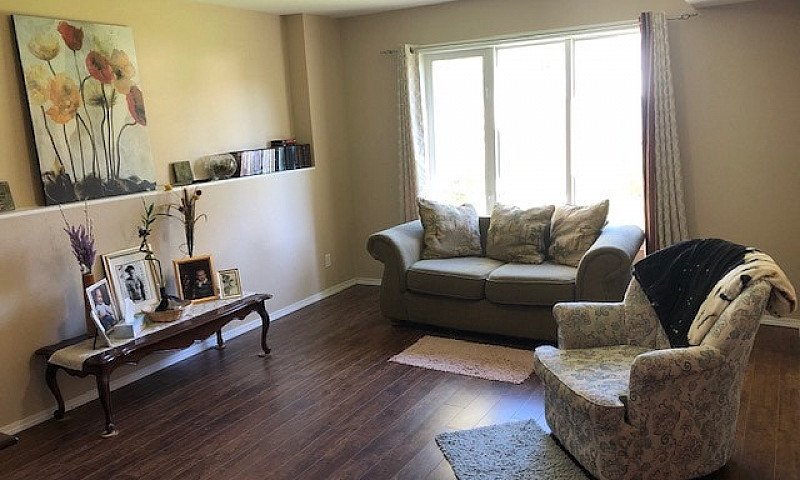 Pet Friendly, West, ...