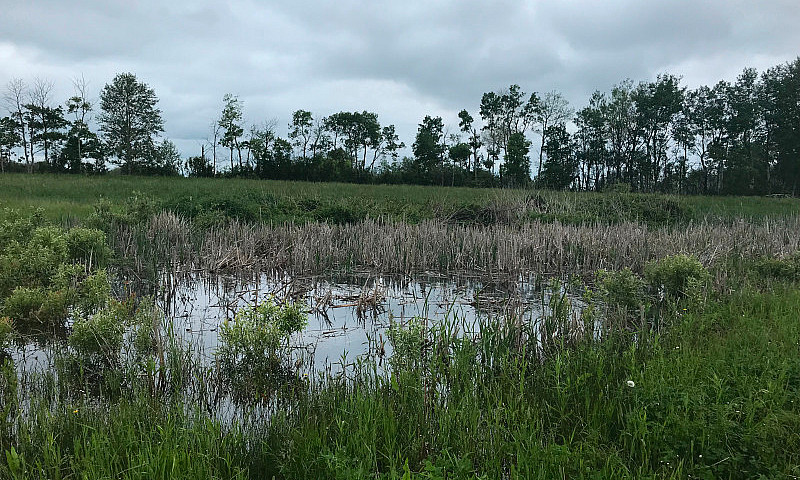 Land For Sale...