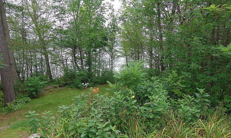 6.1 Acre One Owner P...