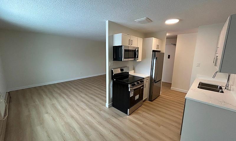 Newly Renovated 1 Be...