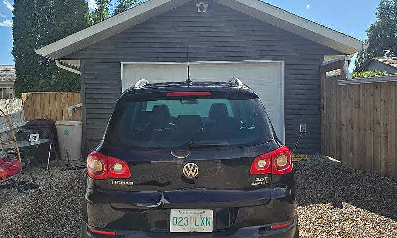 2010 Volkswagen Tigu...